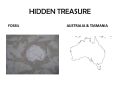 HIDDEN TREASURE